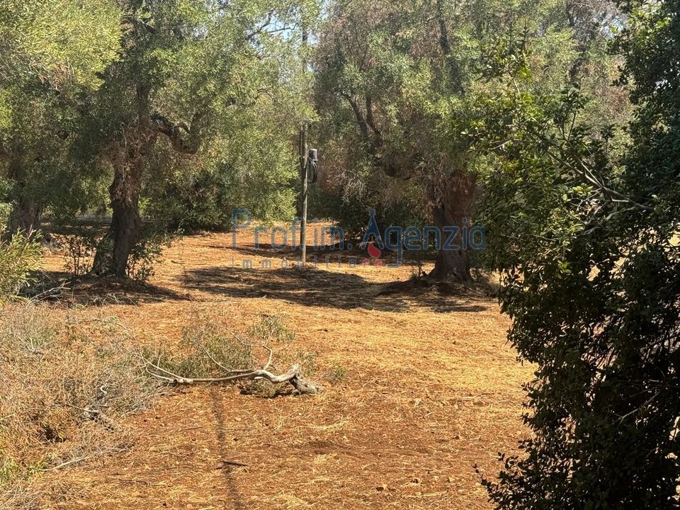 Helårsgrund i Carovigno, Brindisi - foto 3